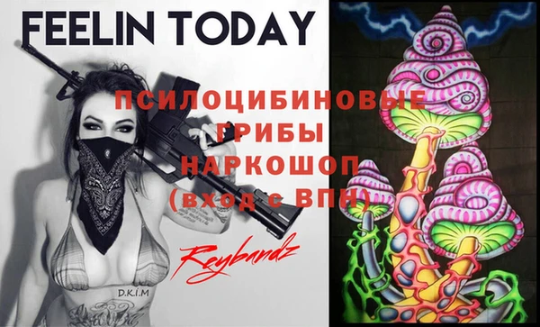 прущие грибы Армянск
