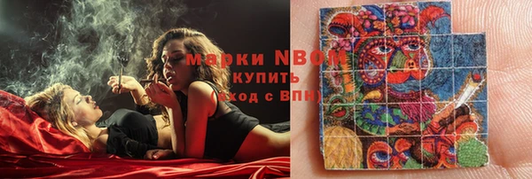 прущие грибы Армянск